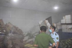 Đồng Nai: Tiêu hủy gần 24 tấn thực phẩm 'bẩn' của một doanh nghiệp