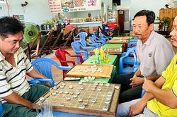 Sức hút môn cờ tướng