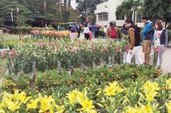 Chính trị - Xã hội Để không còn cảnh phá hoa, đập chậu chiều ba mươi tết