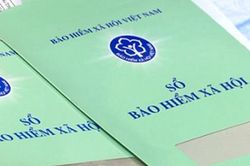 Thừa Thiên - Huế: 3 doanh nghiệp bị phạt hơn 500 triệu đồng do chậm đóng bảo hiểm