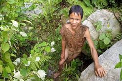 'Tarzan ngoài đời thực' ở Việt Nam