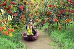 Du lịch Đồng bằng Sông Cửu Long kỳ vọng 'cất cánh'
