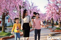 Sau Tết, người dân và du khách hồ hởi tham quan đường hoa Xuân
