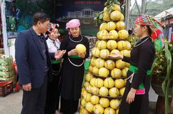 Sản phẩm OCOP đặc trưng của các địa phương hội tụ tại Lễ hội đền Thượng