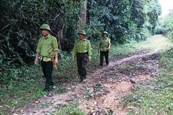 Giữ 'lá phổi xanh' ở Khe Tòng