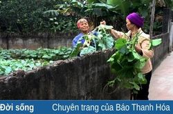 Đầu xuân, ai lại đi 'vặt' lộc?