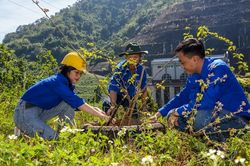 ″Tết trồng cây đời đời nhớ ơn Bác Hồ'' Xuân Quý Mão tại Nhà máy Thủy điện Đồng Nai 3