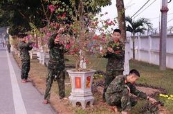 Sẵn sàng cho mùa huấn luyện mới