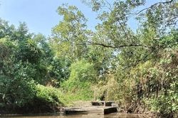 Sân chim Đầm Dơi thành vuông nuôi tôm