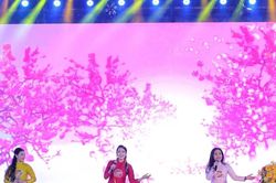Ngày Thơ Việt Nam: Sự nở bừng của đóa hoa thơ trong ánh sáng, âm nhạc
