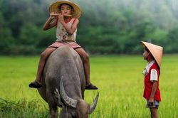 Những con chữ mộc mạc, đầy nghĩa tình trong thơ Nguyễn Đăng Độ