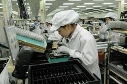Khai mở thị trường xuất khẩu mới cho hàng hóa Việt