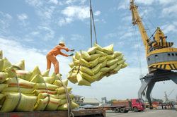 Vì sao xuất khẩu gạo giảm mạnh trong tháng đầu năm?