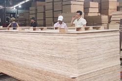 Ngành gỗ dán cần phải thích ứng với môi trường thương mại đang thay đổi
