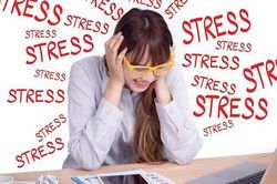 Nam giới có thể suy giảm chức năng tình dục khi bị stress?