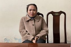 Cặp vợ chồng liên tiếp gây ra hàng chục vụ trộm