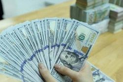 Tỷ giá ngoại tệ hôm nay 7/2: USD tiếp đà tăng