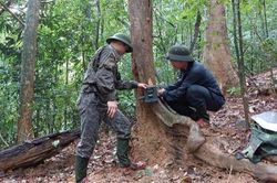 Hà Tĩnh: Lắp đặt 25 điểm bẫy ảnh giám sát đa dạng sinh học