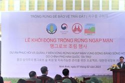 Khởi động Dự án trồng rừng ngập mặn do Chính phủ Hàn Quốc tài trợ tại Ninh Bình