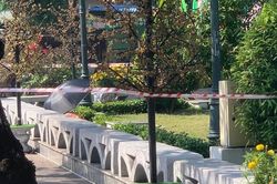 Người phụ nữ bán vé số chết bất thường trong công viên ở Long An