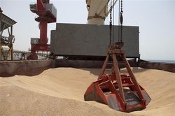 Nga: EU không thực hiện cam kết về thỏa thuận ngũ cốc Biển Đen