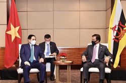 Thúc đẩy hợp tác kinh tế, thương mại Việt Nam và Brunei