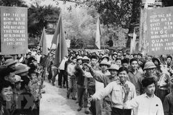 Tòng quân giữa mùa xuân