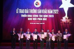 Nhìn lại một năm của sân khấu Việt