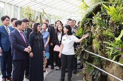 Singapore định danh loài lan mới theo tên Thủ tướng Phạm Minh Chính và Phu nhân