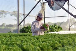 Thúc đẩy đổi mới sáng tạo để tăng trưởng kinh tế nhanh