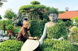 Xuân 'nhặt' bình an nơi cửa thiền