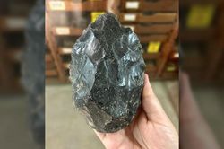 Phát hiện họ hàng vô danh của con người, sở hữu IQ vô cực