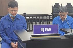 Đánh chết trộm chó, chủ nhà lĩnh án