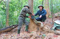 Lắp 25 điểm bẫy ảnh giám sát đa dạng sinh học trong 'Vườn di sản ASEAN' ở Hà Tĩnh