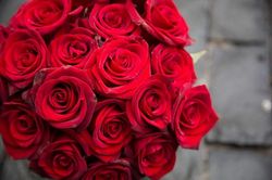 Valentine 14/2 là ngày ai tặng quà ai?