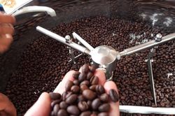 Giá cà phê hôm nay 11/2: 2 sàn cùng tăng, trong nước cán mốc 44.000 đồng/kg