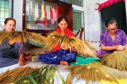 Gửi tâm huyết vào chổi bông sậy