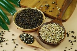 Giá tiêu hôm nay 12/2: Tăng 3.000 đồng khi sản lượng vụ mới giảm đáng kể