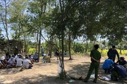 Liên tiếp triệt phá 2 tụ điểm đá gà, thu giữ hàng trăm triệu đồng