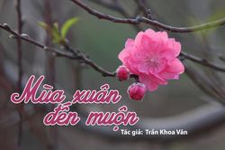 Đọc truyện đêm khuya: Mùa xuân đến muộn