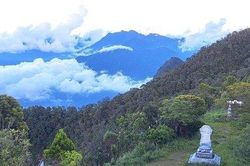 Thu hồi nhiều khu đất của công ty du lịch trong Vườn quốc gia Bạch Mã
