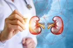 4 yếu tố chủ yếu có thể dẫn đến ung thư thận, rất nhiều người Việt đang mắc phải mà không hay biết