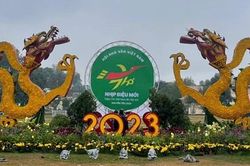 Nuông chiều thơ non yếu, người đọc quay lưng