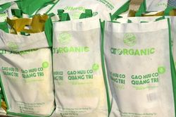 Quảng Trị: Xuất khẩu 15 tấn gạo hữu cơ sang thị trường châu Âu