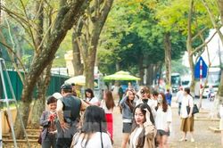 Hà Nội mùa cây thay lá, giới trẻ mê mẩn check-in với thảm lá vàng rực rỡ