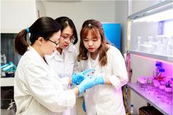 Ứng dụng công nghệ chỉnh sửa gien trong cải tạo giống cây trồng