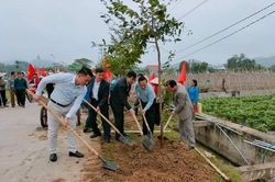 Nghệ An: Hội Nông dân tỉnh Nghệ An phát động phong trào 'Tết trồng cây' tại huyện Quỳnh lưu