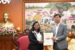 Đài Tiếng nói Việt Nam hợp tác cùng Viện Phát triển Phát thanh Truyền hình châu Á - Thái Bình Dương