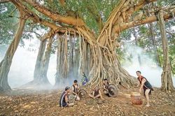 'Báu vật' của buôn làng Tây Nguyên
