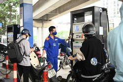 Doanh nghiệp bán lẻ xăng dầu mong được 'đối xử công bằng' với thương nhân đầu mối